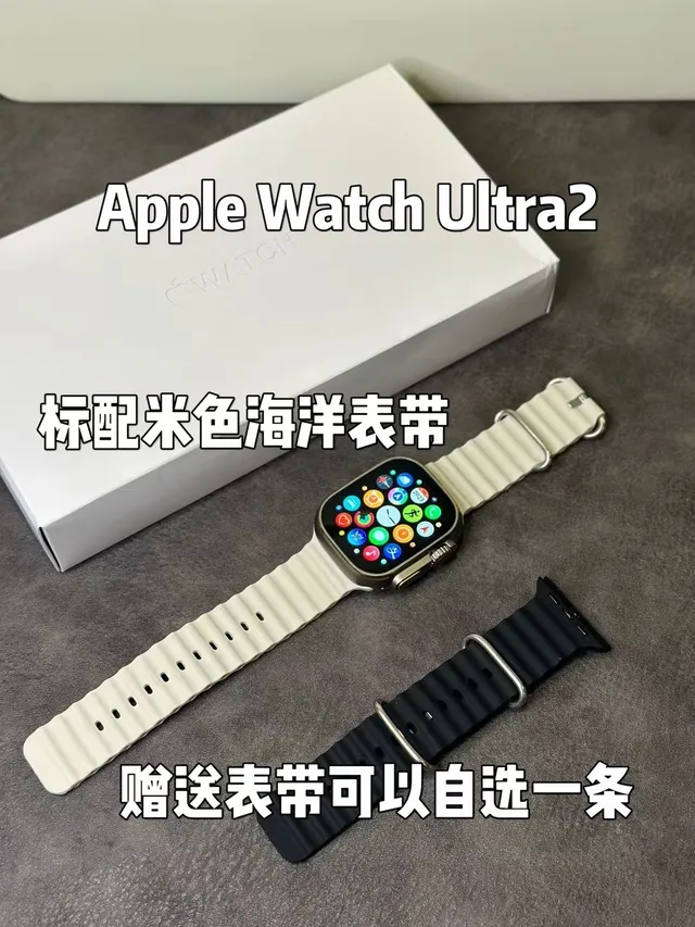 Apple Ultra 2 灰银 坚固钛金属表壳 平面蓝宝石水晶 运动手表 22