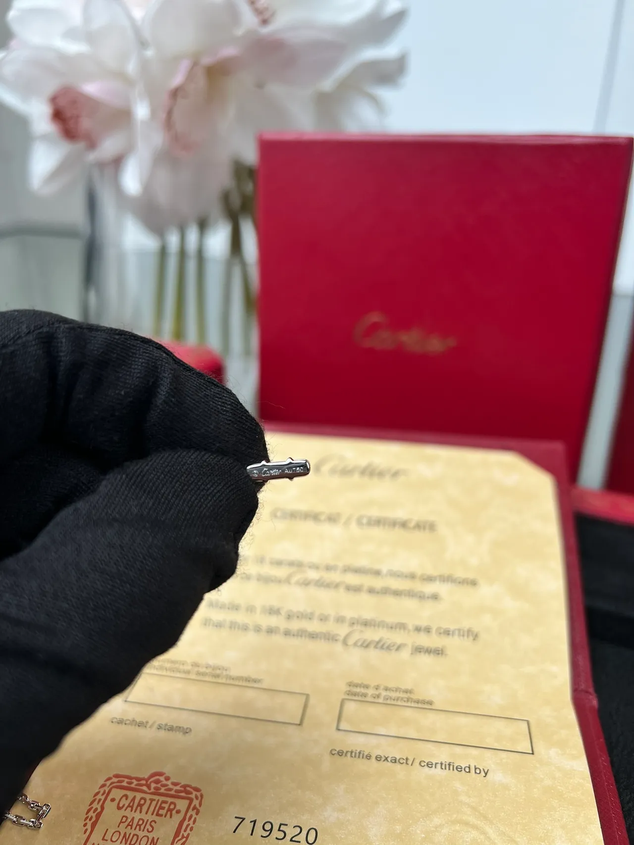 Cartier Juste un Clou Circular Pendant Necklace 4