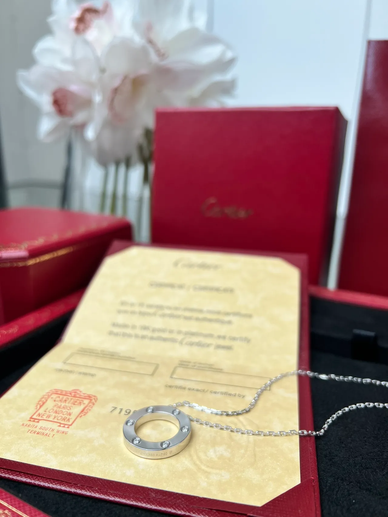 Cartier Juste un Clou Circular Pendant Necklace 7