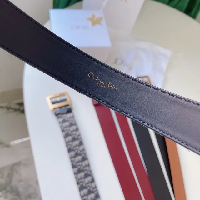 Dior Oblique Woven Monogram Gold Buckle Leather Belt 7