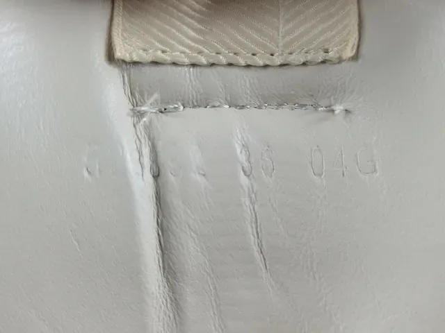 Gucci Screener Fraise Graphique Off-White sneakers lifestyle 15