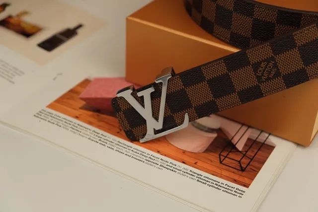 Louis Vuitton भूरा भेज Damier Ebène चेकर कैनवास पॉलिश्ड सिल्वर-टोन LV बकिल चमड़ी की बेल्ट 6