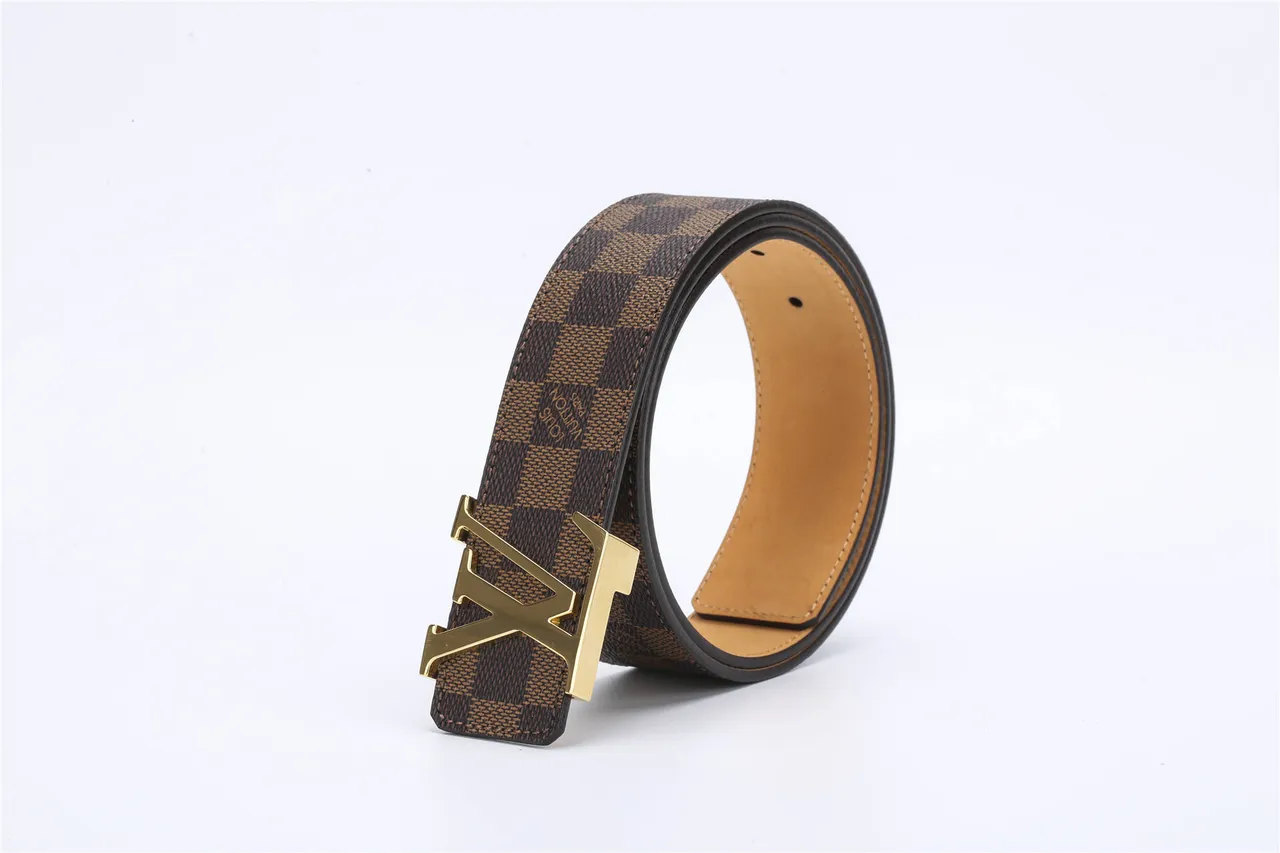 Cinturón Louis Vuitton Marrón Dorado Damier Ebène Lona Pulida Hebilla LV Cuero 6