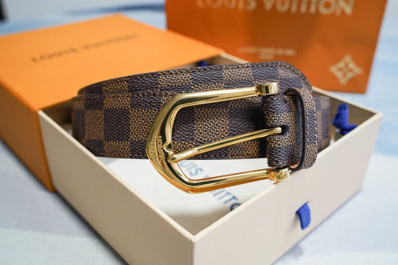 Louis Vuitton Damier Ebène भूरा सोना कैनवास बकल चमड़े की बेल्ट 6