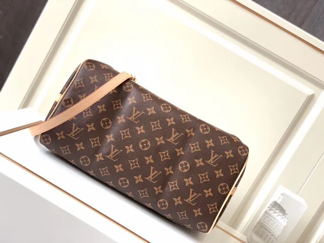 Louis Vuitton Speedy Monogram Canvas বাদামী এবং ট্যান Boston ব্যাগ 9