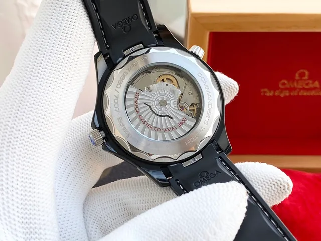 Omega Seamaster Professional Black Dial Mechanical Watch 3