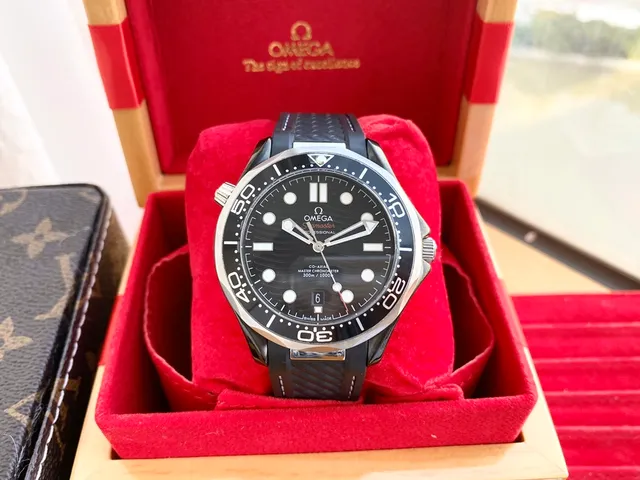Omega Seamaster Professional Black Dial Mechanical Watch 9