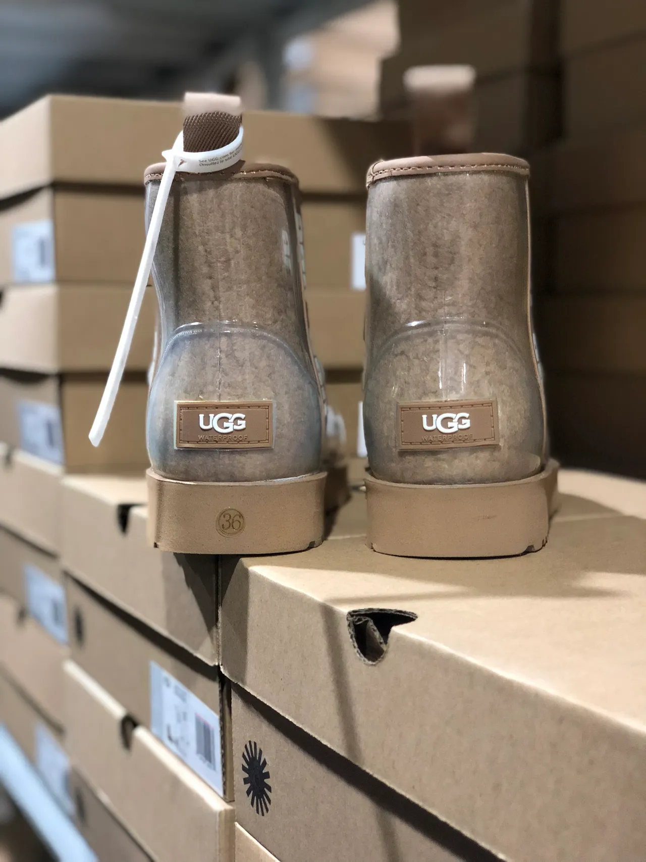 UGG Tasman Beige Botas de Nieve Transparente con Forro de Shearling 8
