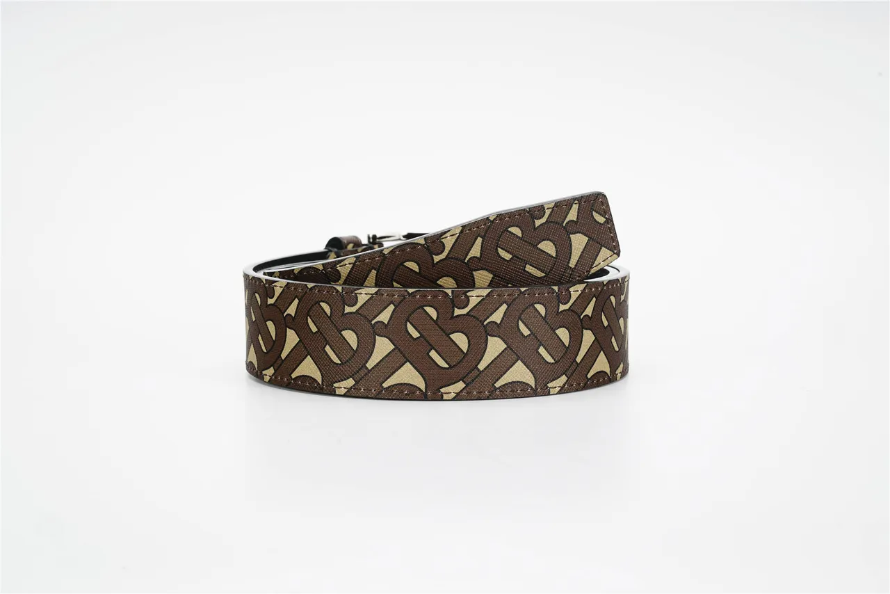 Burberry Monogram Ceinture Marron Beige Argenté Rectangulaire Boucle Toile 3