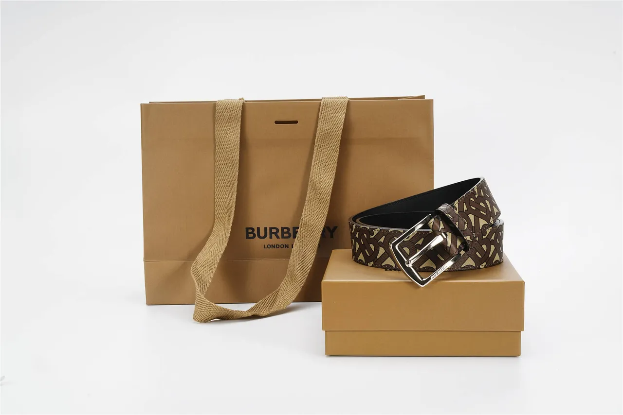 Burberry Monogram Ceinture Marron Beige Argenté Rectangulaire Boucle Toile 4
