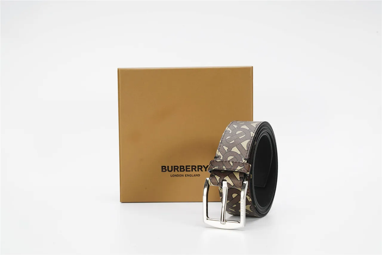 Burberry Monogram Ceinture Marron Beige Argenté Rectangulaire Boucle Toile 5