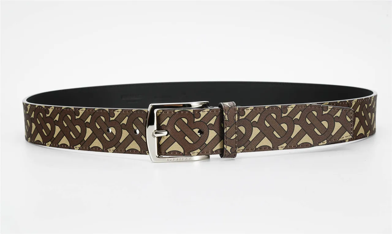Burberry Monogram Ceinture Marron Beige Argenté Rectangulaire Boucle Toile 7