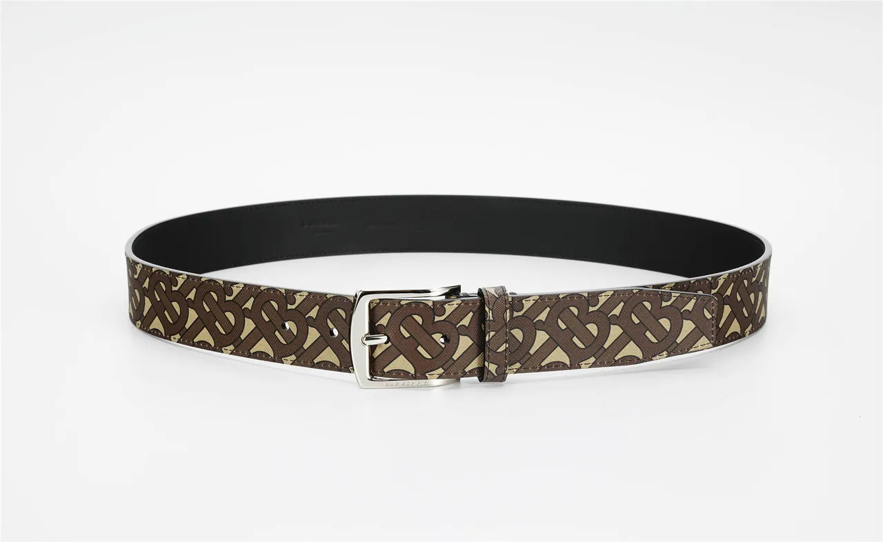 Burberry Monogram Ceinture Marron Beige Argenté Rectangulaire Boucle Toile 8