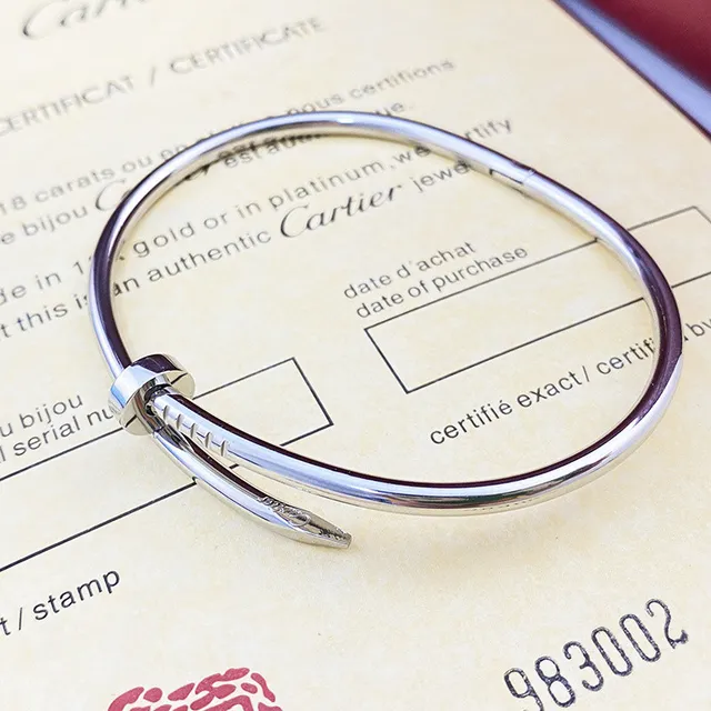 Cartier Juste un Clou ذهب فضة نقشة مسمار سوار أنبوبي 3