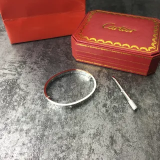 Cartier Love Silver Red Screw-Motif Closure Polished Metal Bracelet