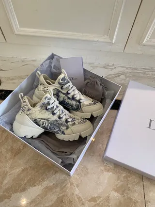 Dior B27 Toile Print Chaussures chunky blanches et bleues 5