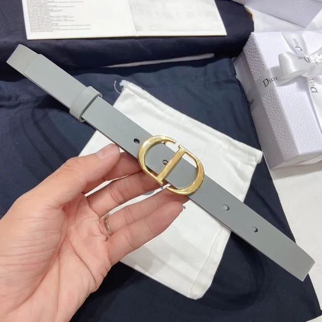 Dior Diorama Gray Gold Narrow Smooth Leather Belt 2