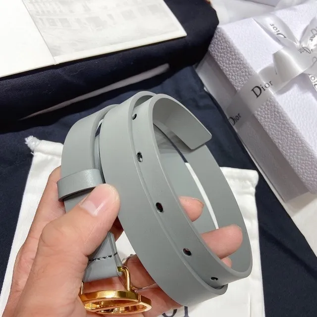 Dior Diorama Gray Gold Narrow Smooth Leather Belt 3