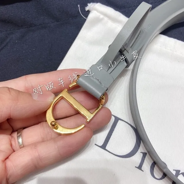 Dior Diorama Gray Gold Narrow Smooth Leather Belt 4
