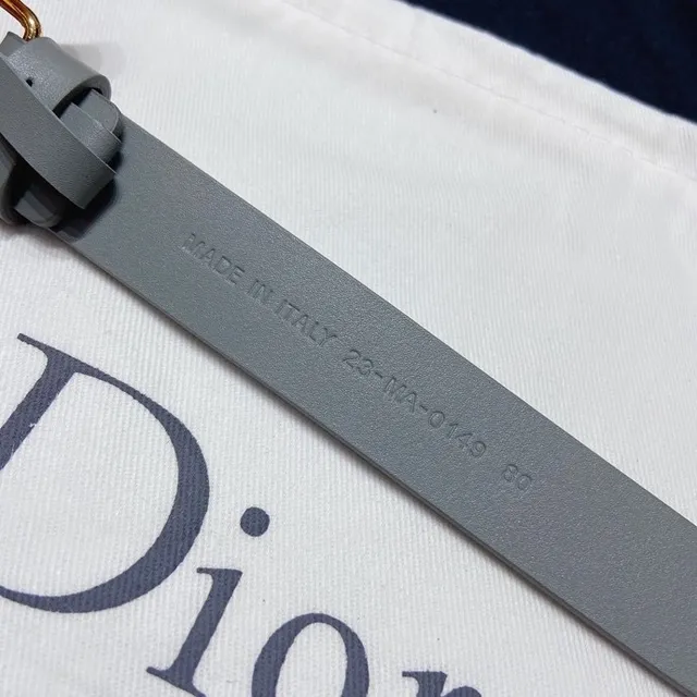 Dior Diorama Gray Gold Narrow Smooth Leather Belt 5