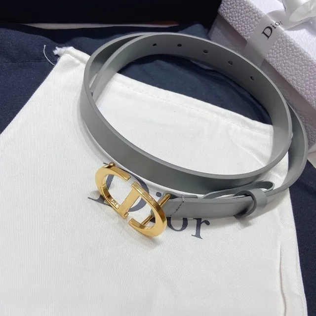 Dior Diorama Gray Gold Narrow Smooth Leather Belt 6