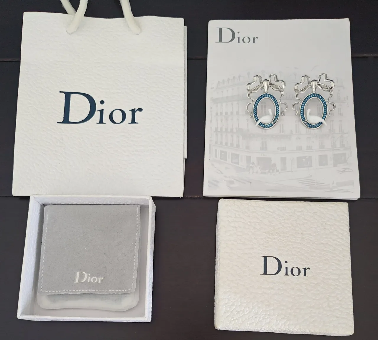 Dior Silver Blue Oval Enamel-Framed White Ceramic Dove Motif Earrings 3