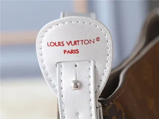 Louis Vuitton বাদামী সাদা মোনোগ্রাম ক্যানভাস চাঁদি টোন হার্ডওয়্যার বাকেট ব্যাগ 3