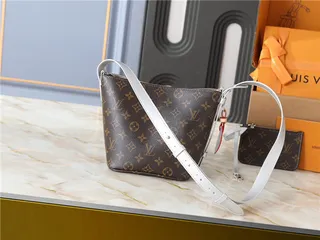 Louis Vuitton বাদামী সাদা মোনোগ্রাম ক্যানভাস চাঁদি টোন হার্ডওয়্যার বাকেট ব্যাগ 8