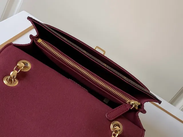 Louis Vuitton Dauphine بني و بورجوندي Monogram حقيبة سلاسل 4