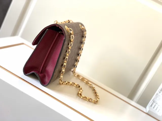 Louis Vuitton Dauphine بني و بورجوندي Monogram حقيبة سلاسل 8