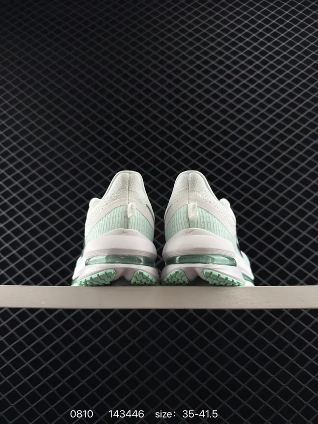 Nike Pegasus Premium blanc vert tige en maille Engineered Metallic Swoosh chaussures de course 3
