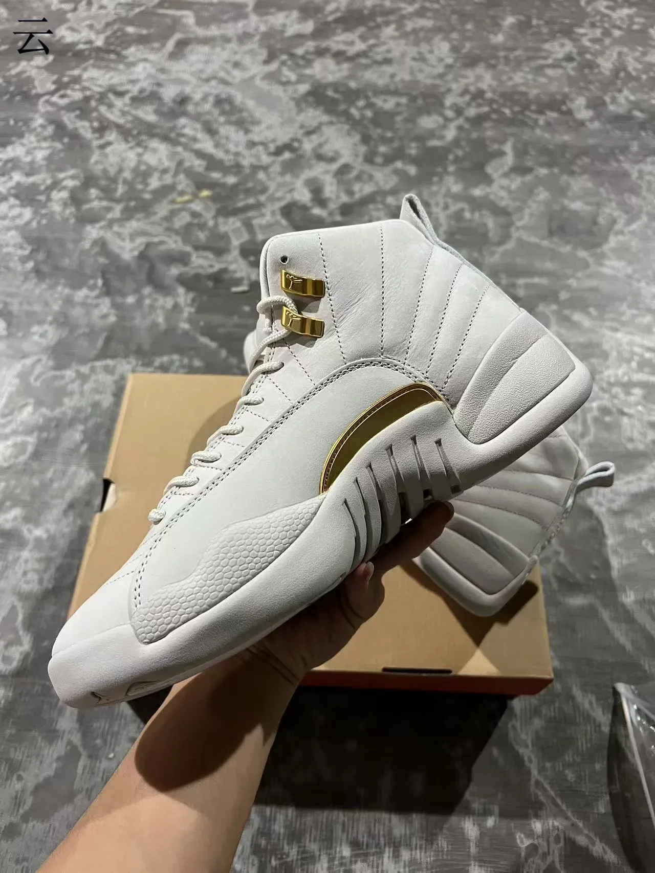 Air Jordan 12 Light Gray and Gold Basketball Shoes 5