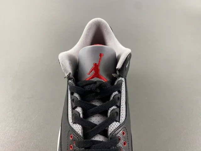 Air Jordan 3 أسود سيمنت طباع الفيل أحذية كرة السلة 6