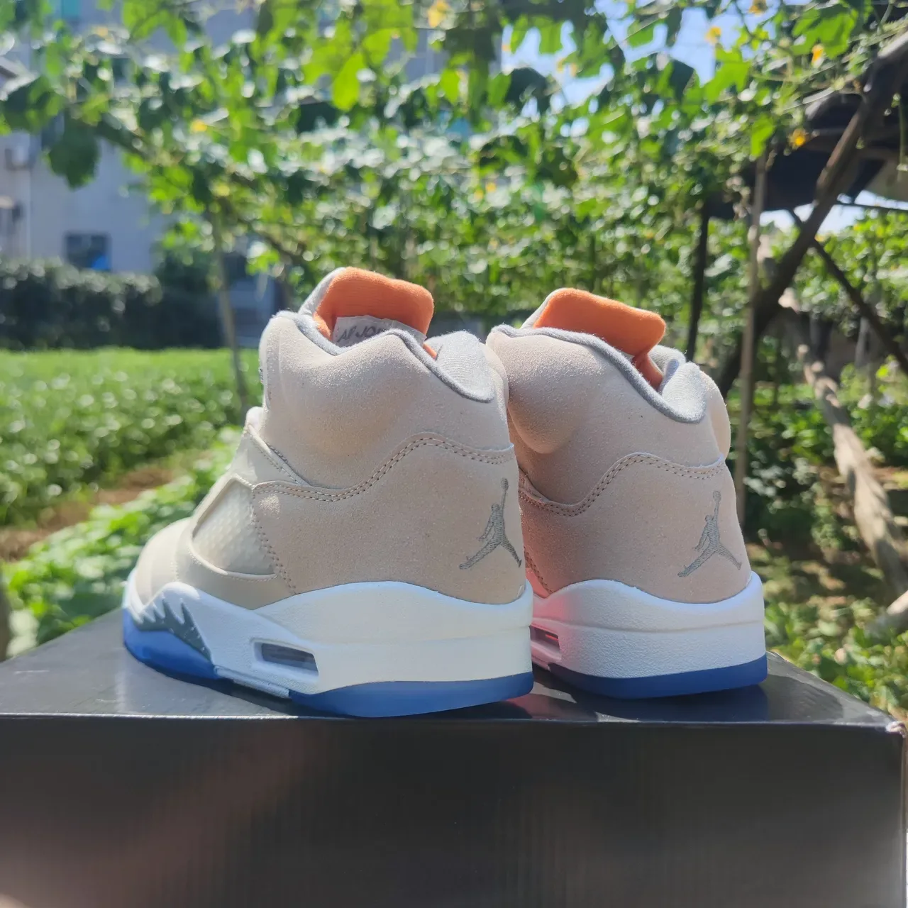 Air Jordan 5 বেইজ এবং নীল বাস্কেটবল জুতো 2