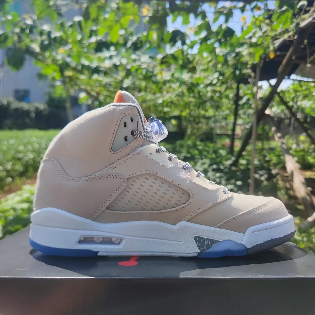 Air Jordan 5 বেইজ এবং নীল বাস্কেটবল জুতো 3