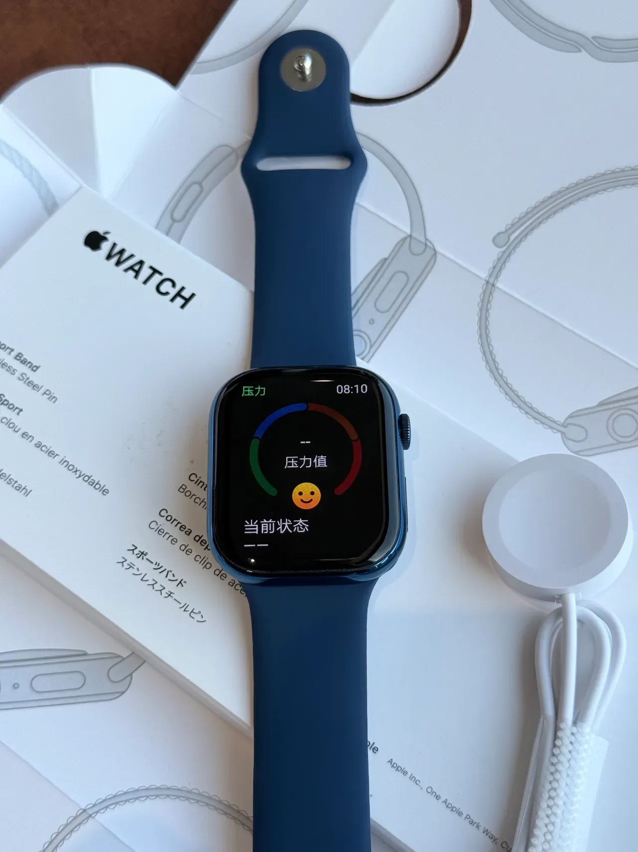Apple Blue Black Square Case Flat Display Sports Watch 10
