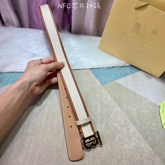 Burberry TB Monogram beige marron ceinture en toile avec bordures en cuir 6
