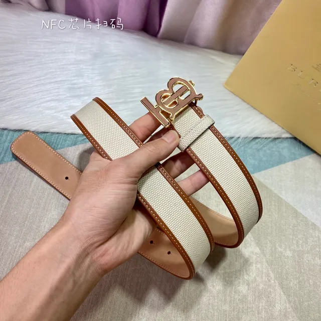 Burberry TB Monogram Sangle Beige Marron Cuir Bordure Canvas Belt 2