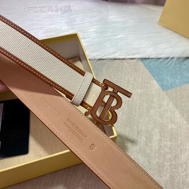 Burberry TB Monogram Sangle Beige Marron Cuir Bordure Canvas Belt 8
