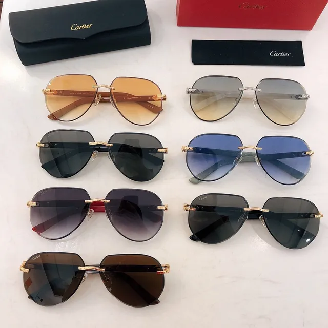 Cartier Brown White Rimless Acetate Temples Sunglasses 2