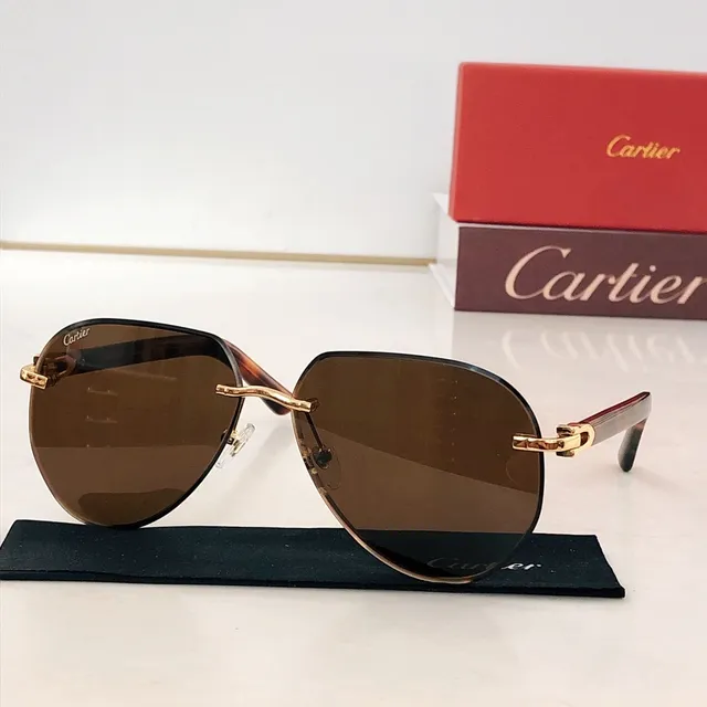 Cartier Brown White Rimless Acetate Temples Sunglasses 8