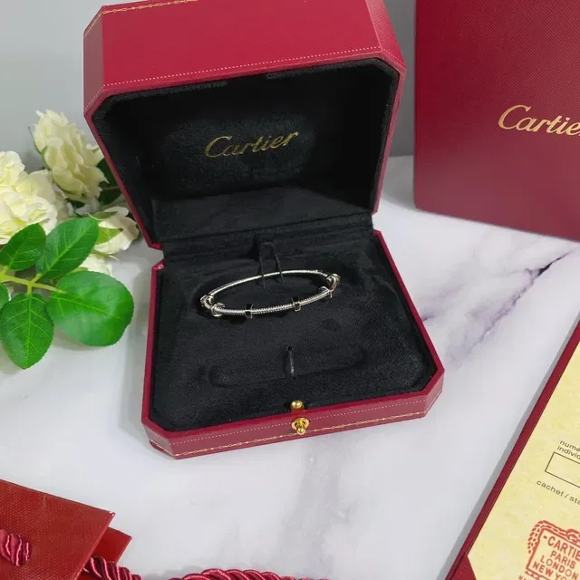 Cartier Juste un Clou Silver Gold Coiled Tubular Metal Hexagonal Nut Accents Bracelet 4