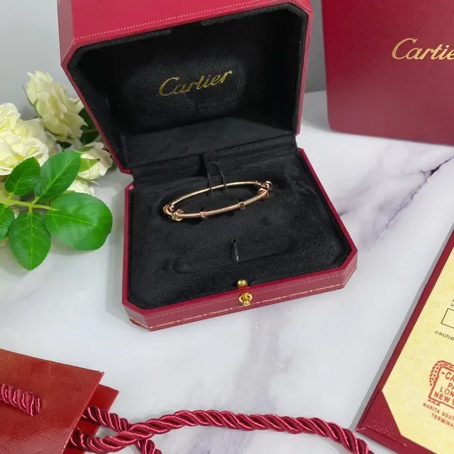 Cartier Juste un Clou Silver Gold Coiled Tubular Metal Hexagonal Nut Accents Bracelet 5