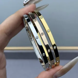 Cartier Love Gold Silver Rigid Bangle Screw Motif Bracelet