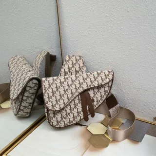 Dior Saddle Beige Brown Monogrammed Canvas Silhouette Saddle Bag