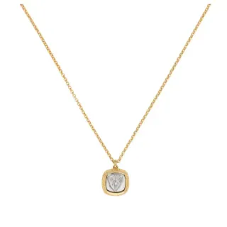 Collier avec pendentif bouclier bicolore or et argent