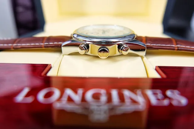 Longines Master Collection Chronograph বাদামী সাদা গোল স্টেইনলেস স্টিল কেস গিলোশে ডায়াল যান্ত্রিক ঘড়ি 5