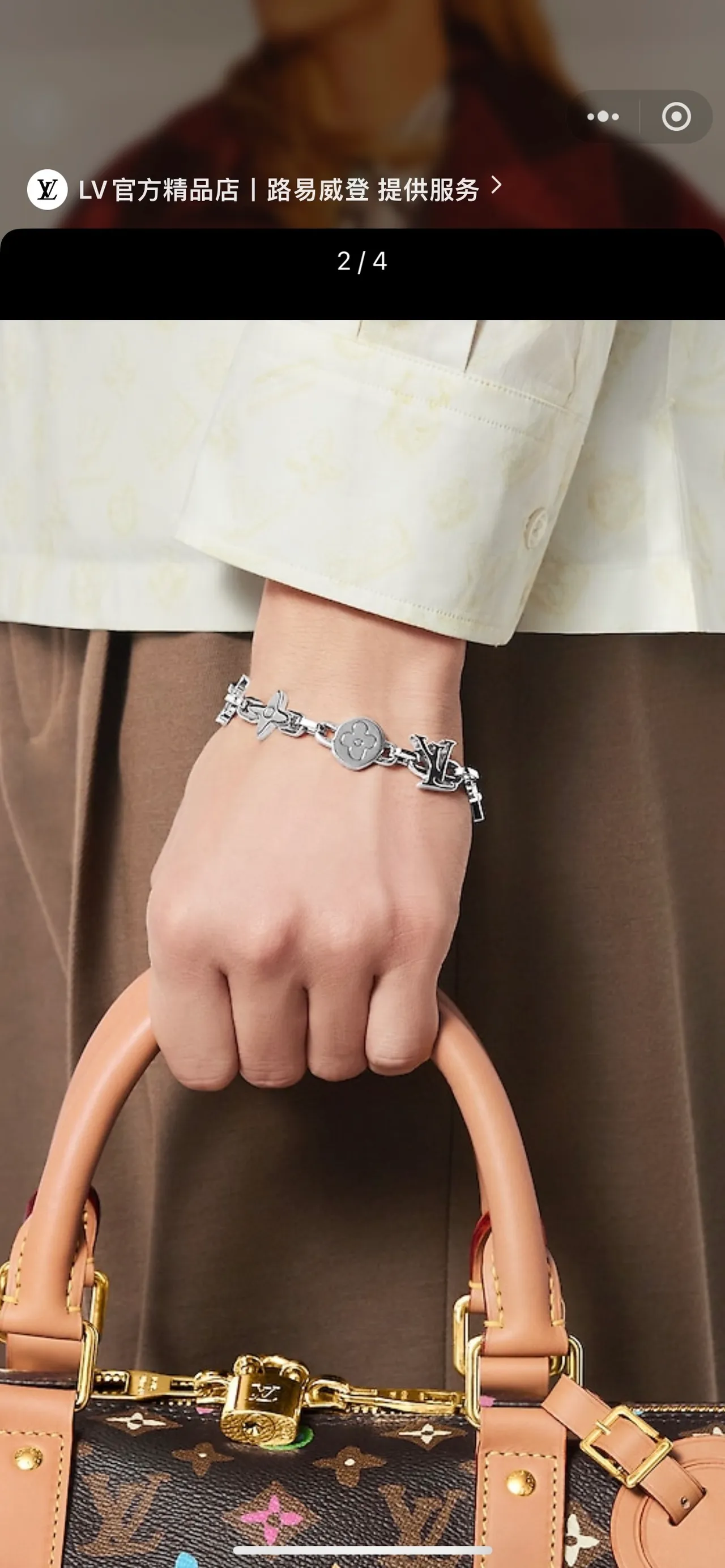 Louis Vuitton Iconic Chain Bracelet Pulseras de metal en tono plata y oro 8