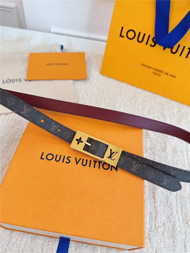 Louis Vuitton Monogramme Toile Doré Boucle Ceinture en Cuir 16
