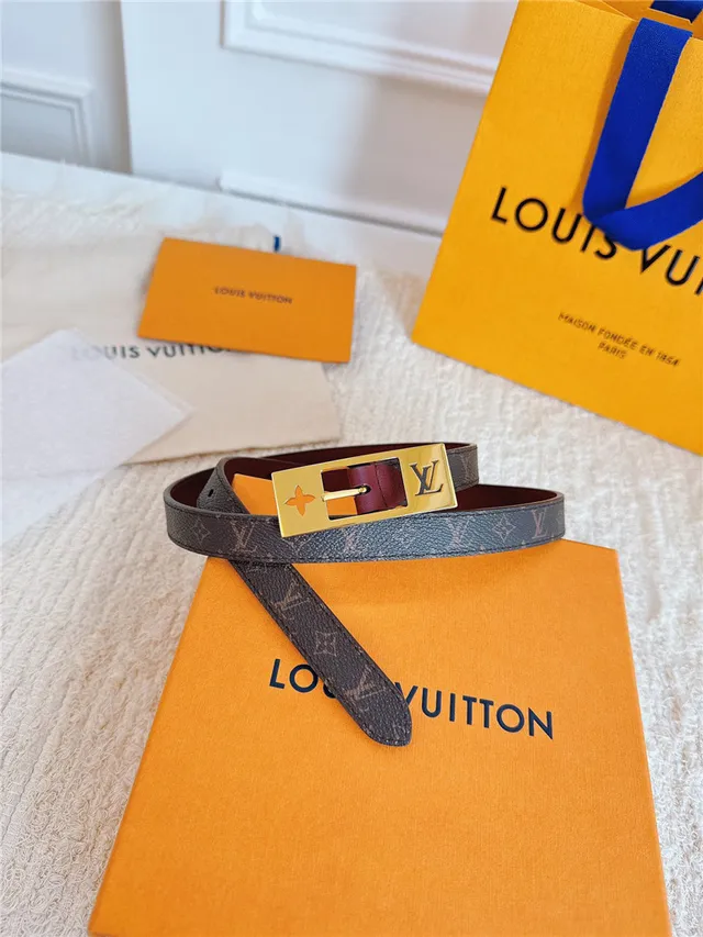Louis Vuitton Monogramme Toile Doré Boucle Ceinture en Cuir 19
